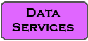 Data Services